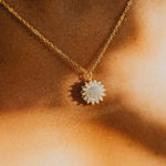 COLLAR GIRASOL GIRATORIO ANTI-ESTRES